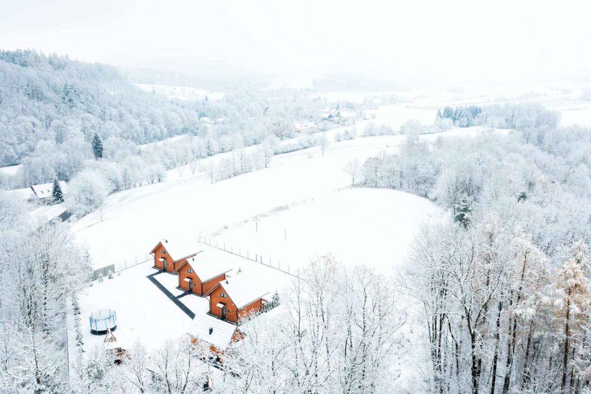 Sloneczne Domki Sudety - Domki Caloroczne Kotlina Klodzka Stary Waliszow ภายนอก รูปภาพ