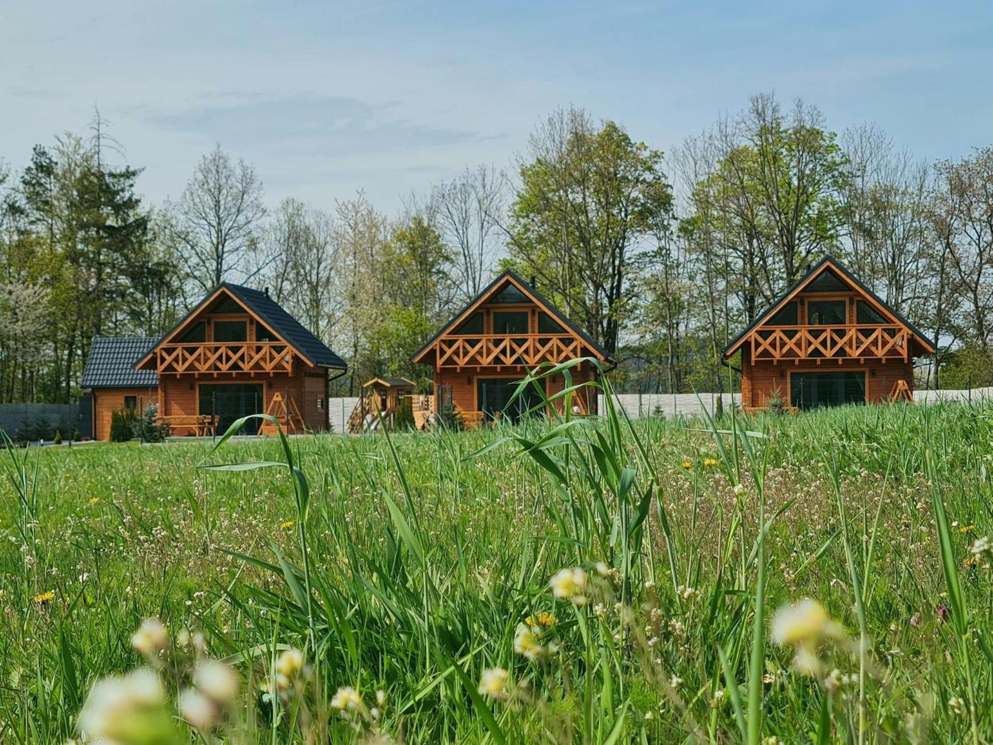 Sloneczne Domki Sudety - Domki Caloroczne Kotlina Klodzka Stary Waliszow ภายนอก รูปภาพ
