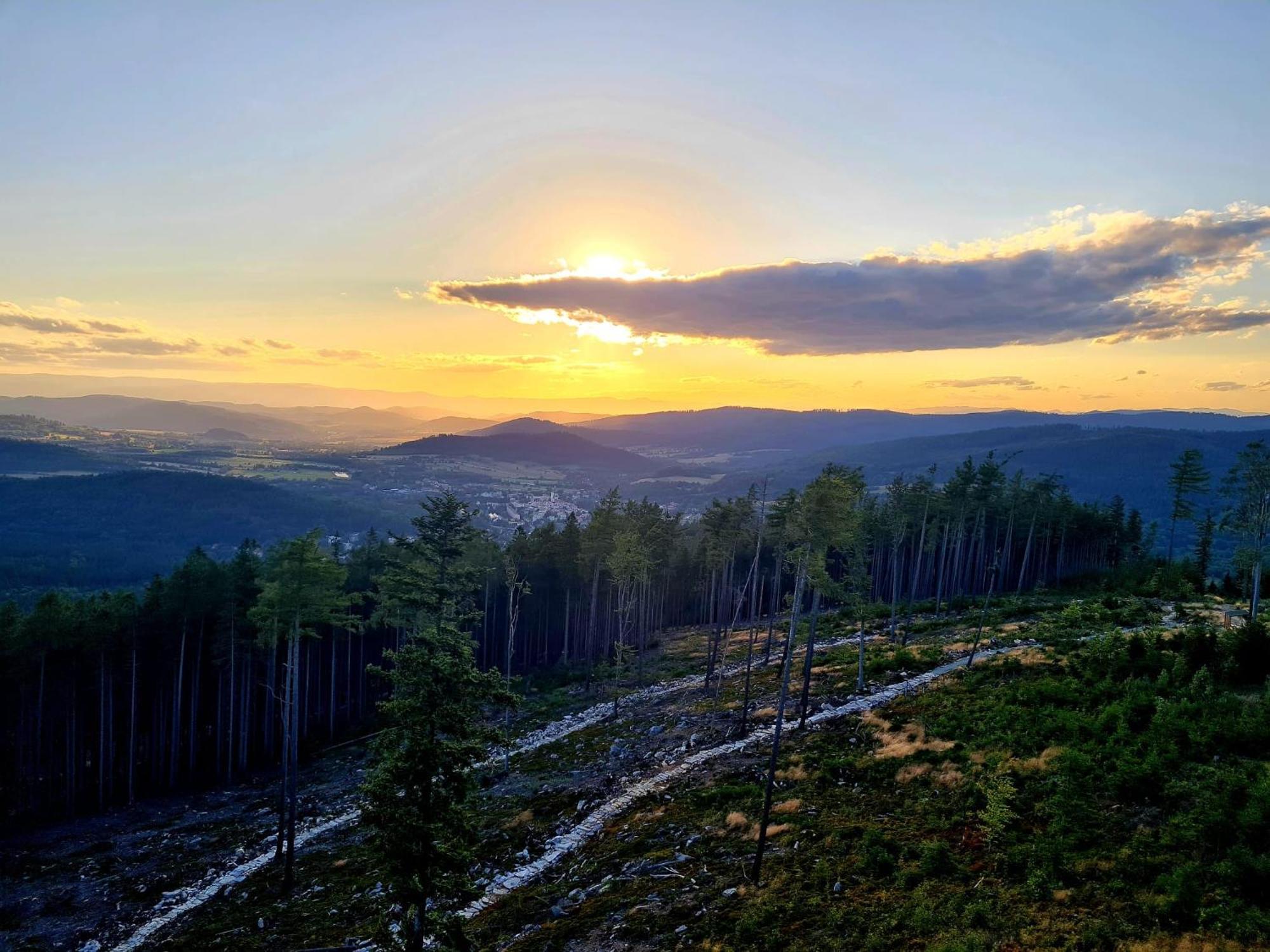 Sloneczne Domki Sudety - Domki Caloroczne Kotlina Klodzka Stary Waliszow ห้อง รูปภาพ
